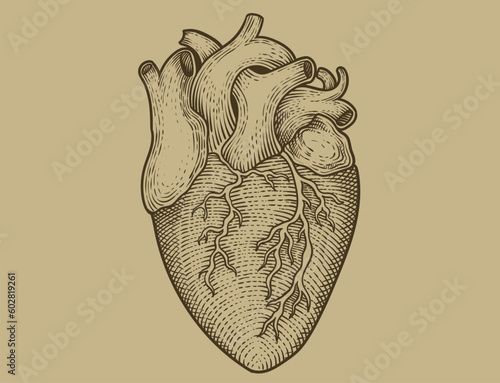 illustration antique heart with engraving style