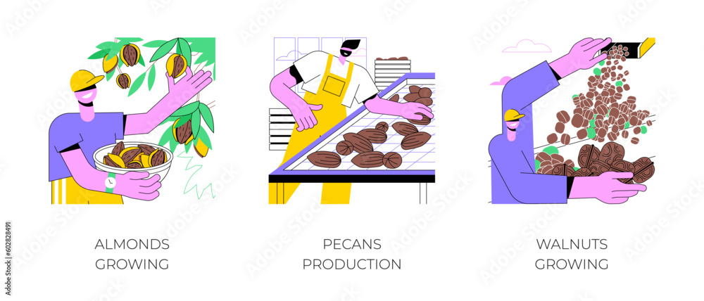Growing nuts isolated cartoon vector illustrations set. Farmer picking almonds from the tree, pecans production, walnut farm, processing-manufacturing sector in agriculture vector cartoon.
