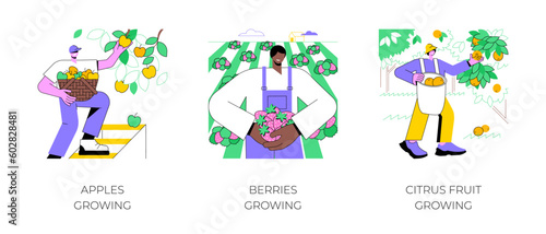 Fruit production isolated cartoon vector illustrations set. Farmer picks apples from the tree, ripe strawberries, berries growing, citrus fruit tree garden, harvesting time vector cartoon.