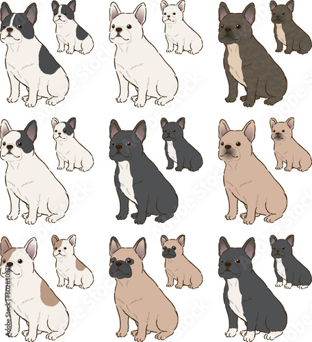 色々な毛色のフレンチブルドッグ