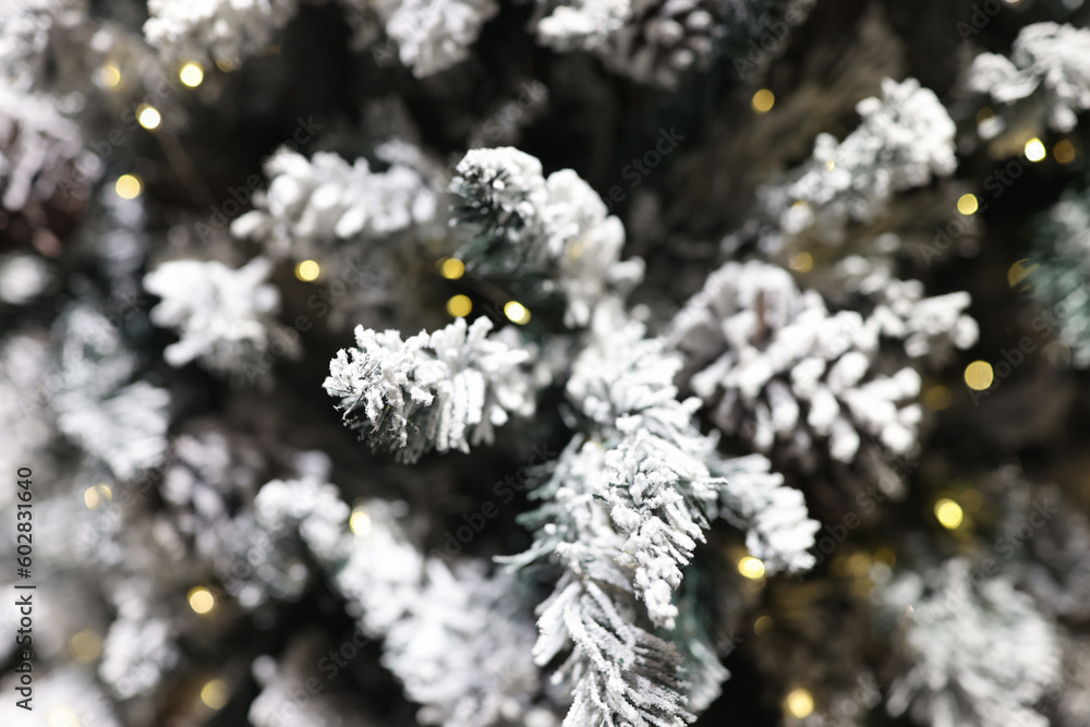 Fir tree branches covered with snow and Christmas lights