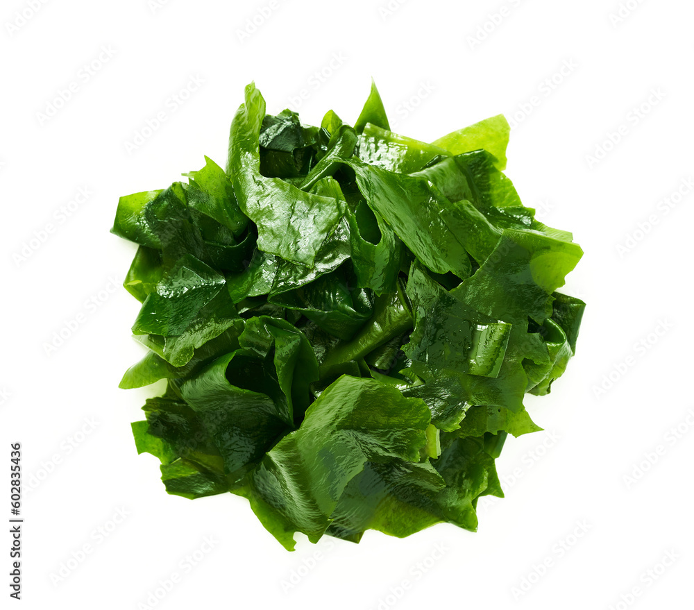 top view alga wakame laminaria kelp seaweed Isolated on white background. fresh alga wakame laminaria kelp seaweed Isolated. top view overhead flat lay alga wakame laminaria kelp seaweed Isolated top view alga wakame laminaria kelp seaweed Isolated on white background. fresh alga wakame laminaria kelp seaweed Isolated. top view overhead flat lay alga wakame laminaria kelp seaweed Isolated
