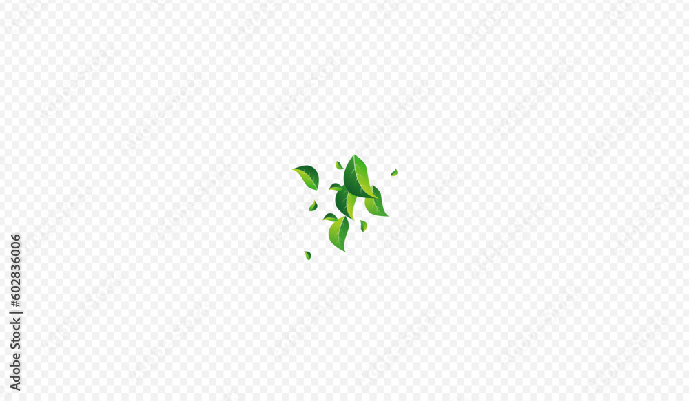 Swamp Leaves Forest Vector Transparent Swamp Leaves Forest Vector Transparent