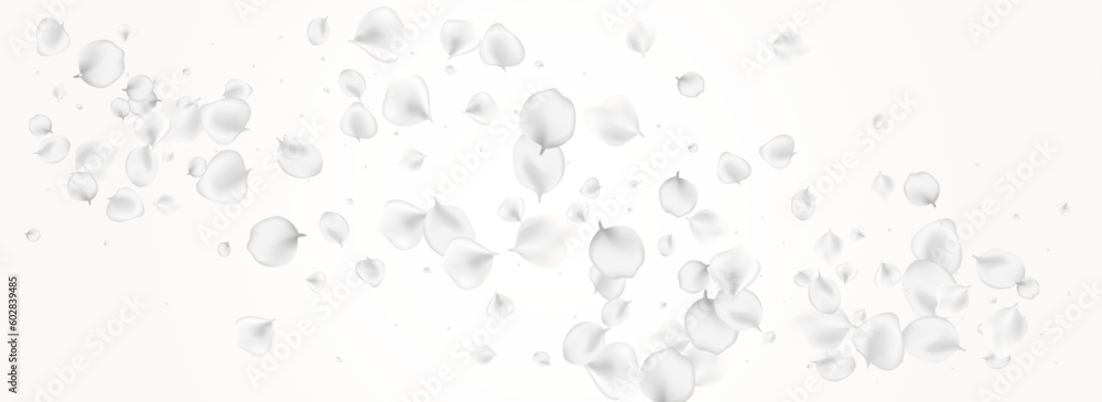 Delicate Blossom Vector Light Panoramic Delicate Blossom Vector Light Panoramic