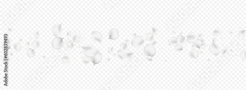 White Peach Vector Transparent Panoramic