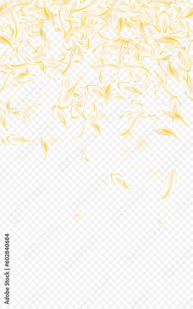 Obraz premium Delicate Floral Japanese Vector Transparent