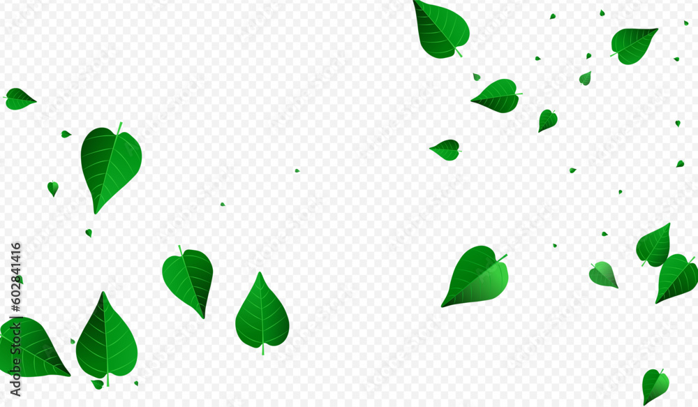 Green Leaf Fly Vector Transparent Background Green Leaf Fly Vector Transparent Background