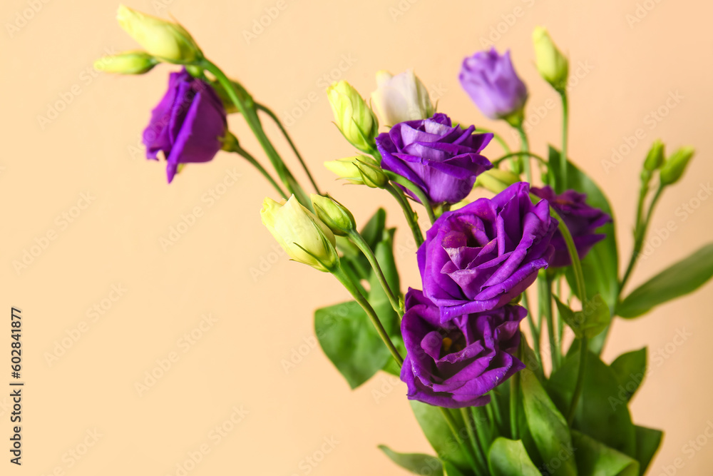 Eustoma flowers on beige background Eustoma flowers on beige background