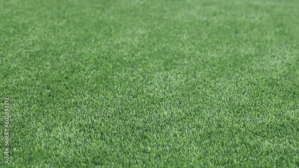 Textura de hierba verde para decorado de casas.