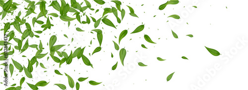 Swamp Leaves Abstract Vector Panoramic White