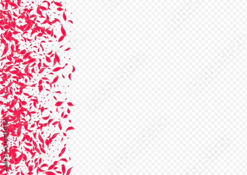 Delicate Rose Vector Transparent Background.