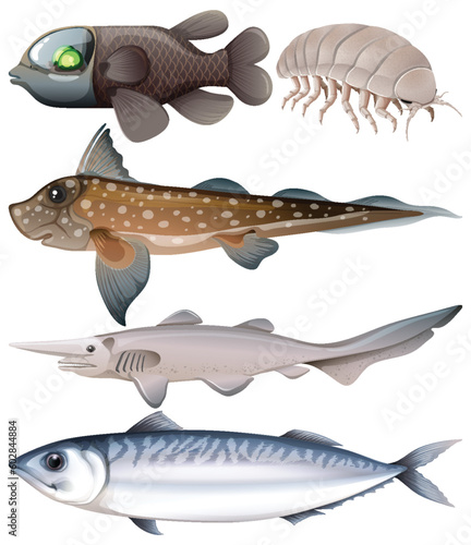Underwater Creature Vector Set