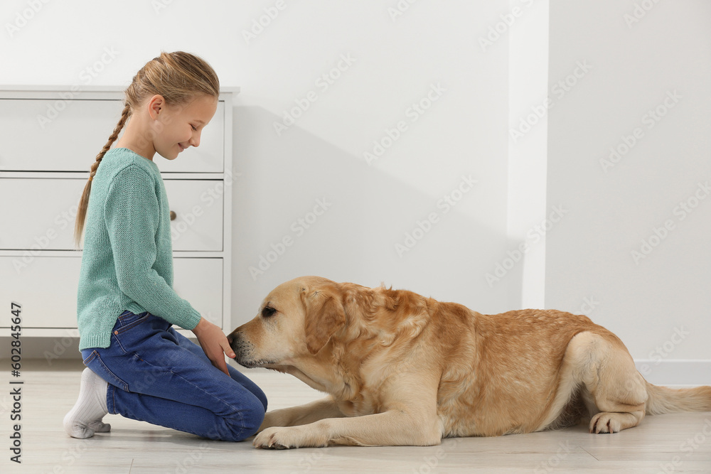 Cute child with her Labrador Retriever on floor at home. Adorable pet