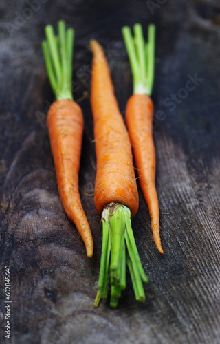 Fresh carrots on a wooden background. Ecological food. Healthy food