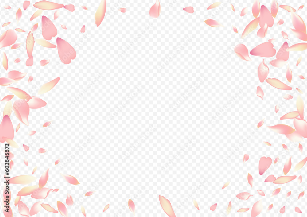 Pink Rosa Vector Transparent Background. Lotus