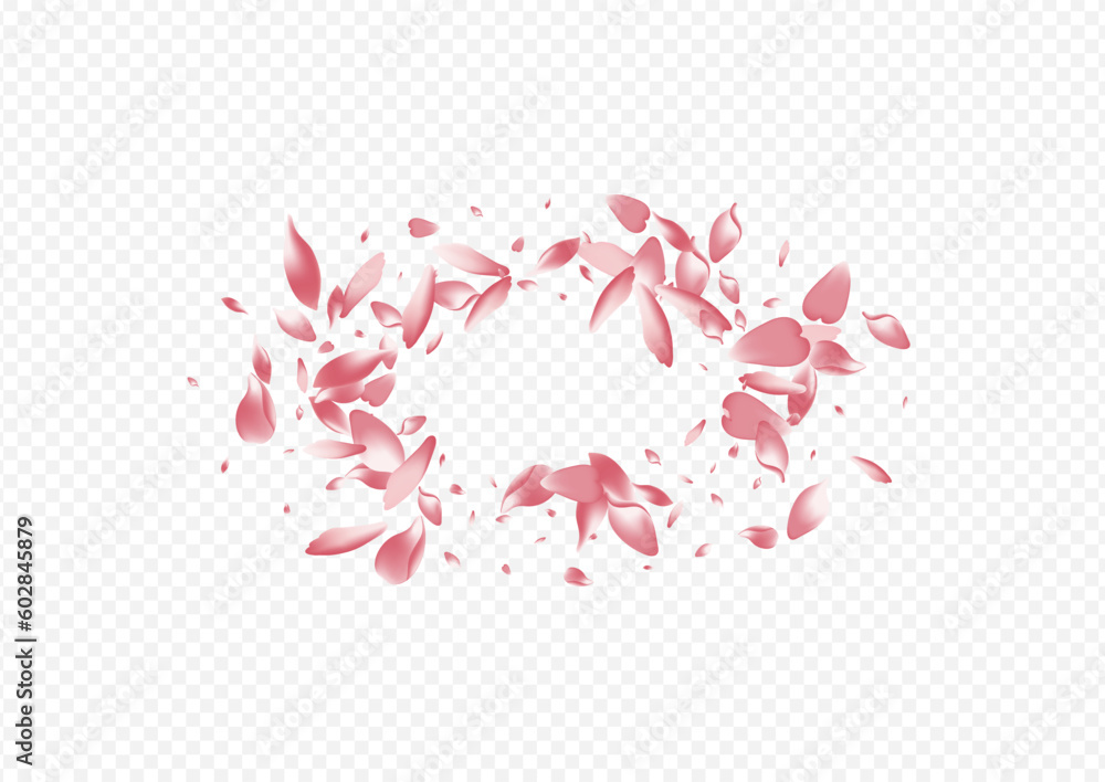 Pink Floral Vector Transparent Background. Lotus Pink Floral Vector Transparent Background. Lotus