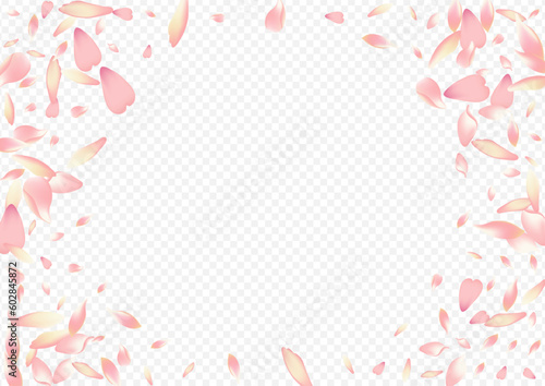 Pink Rosa Vector Transparent Background. Lotus