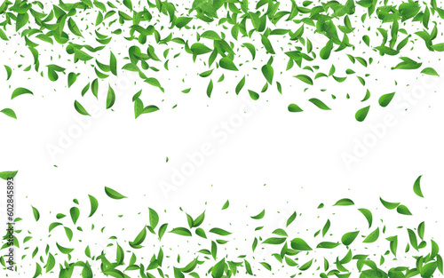 Forest Greens Fresh Vector White Background