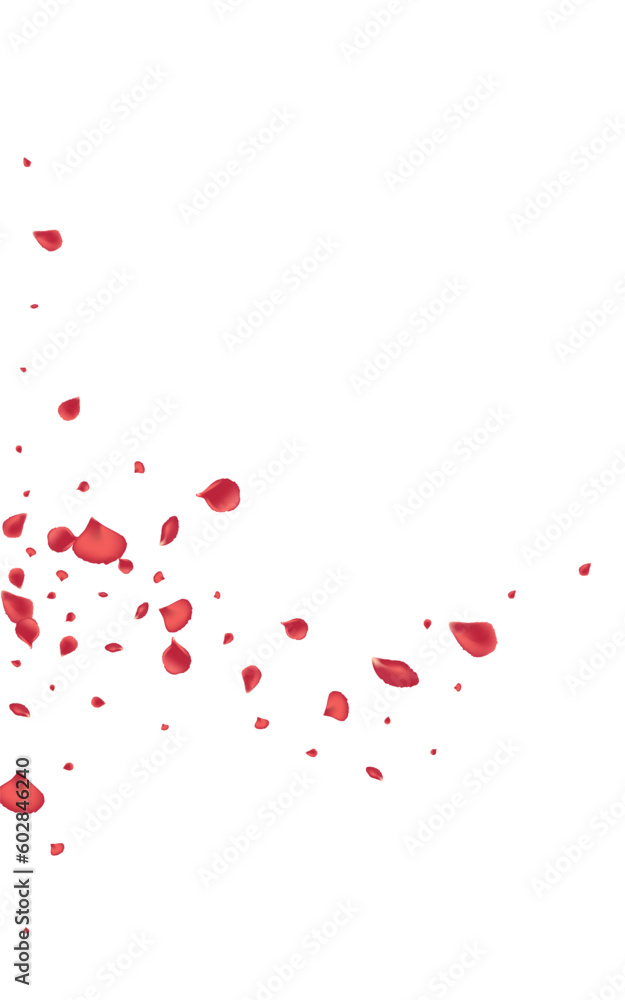 Beautiful Rose Spring Vector White Background.