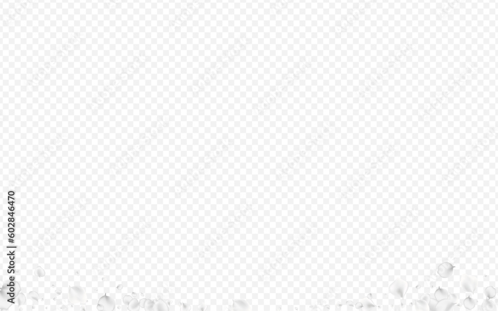 Snowy Blossom Vector Transparent Background. Snowy Blossom Vector Transparent Background.
