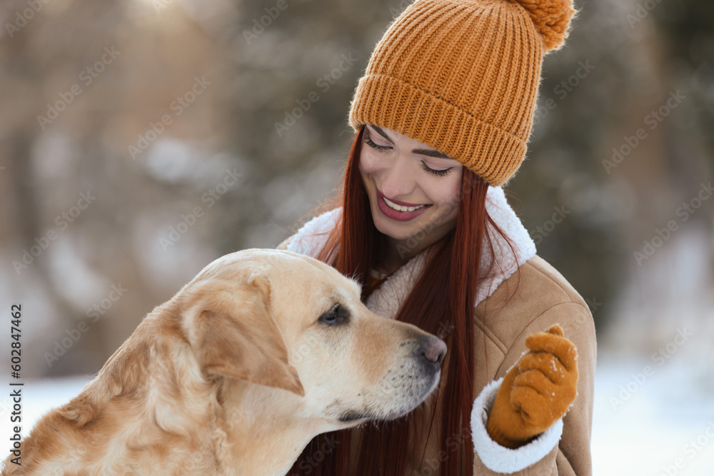 Beautiful young woman with adorable Labrador Retriever on winter day outdoors