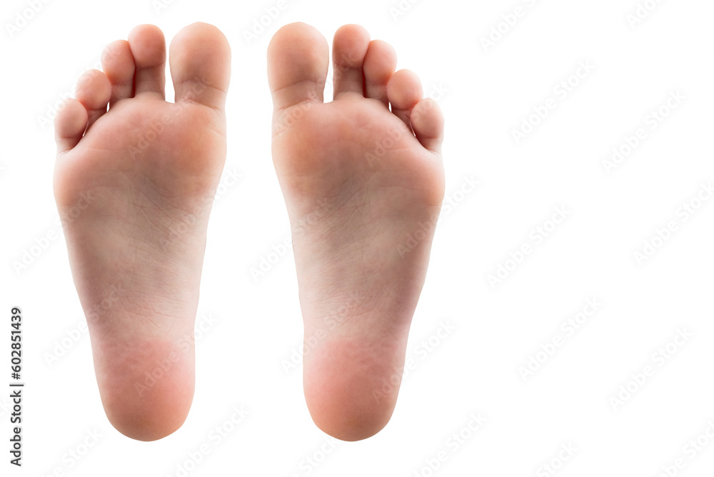foot and heel on white background foot and heel on white background
