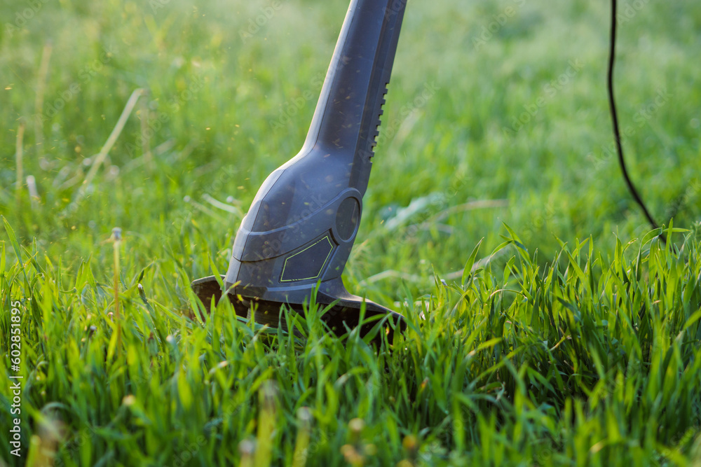 Obraz premium Close-up of a lawn trimmer in the process of work. The working part of the trimmer cutting green grass. Background image illustrating the work of a gardener