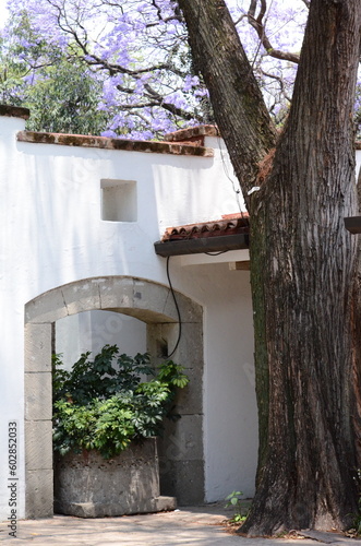 Old house in the village. With garden, trees and flowers in the park. Vegetation. Picture taken April 9th. © Ezri