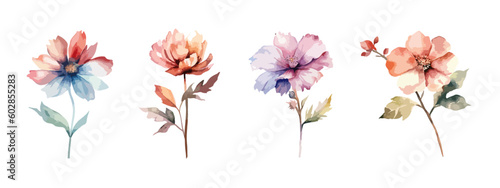 Set of watercolor leaves, hand painted floral elements isolated on a white background. watercolor arrangements with small flower. Botanical minimal style. 