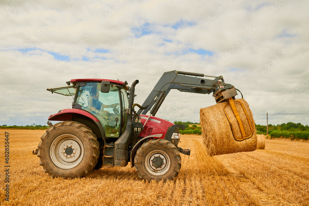 Obraz premium Hay, agriculture and a red tractor on a farm for sustainability outdoor on an open field during the harvest season. Nature, sky and clouds with an agricultural vehicle harvesting in the countryside