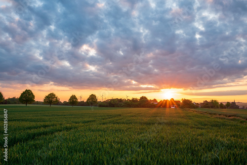 sunrise over the field © Dirk