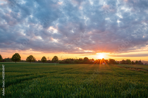 sunrise over the field