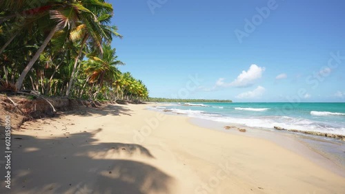 Transparent sea waves on the sandy shore of the Indian Ocean with a palm beach. Tropical summer background. Natural landscape of a tropical island on a sunny day. Travel and relax in a palm paradise.