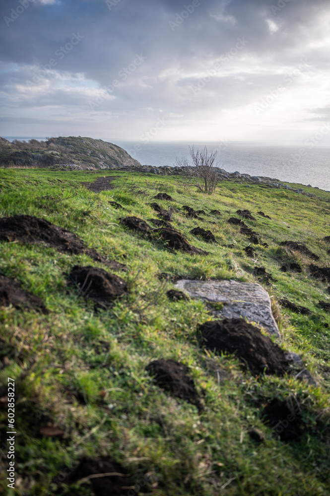 Landschaft auf dem Kullaberg in Schweden