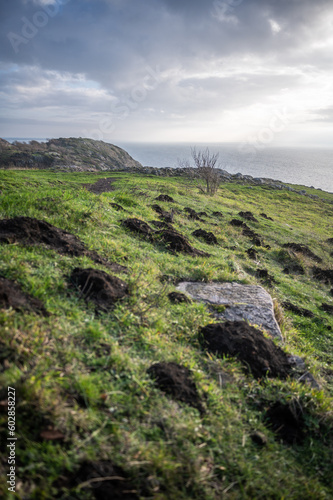 Obraz na płótnie Landschaft auf dem Kullaberg in Schweden w salonie