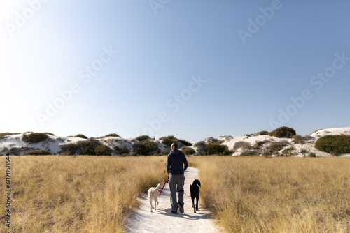 Canvas Print Woman walking away on trail with 2 dogs in National Park
