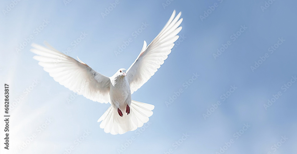 AI generative. White dove against blue sky