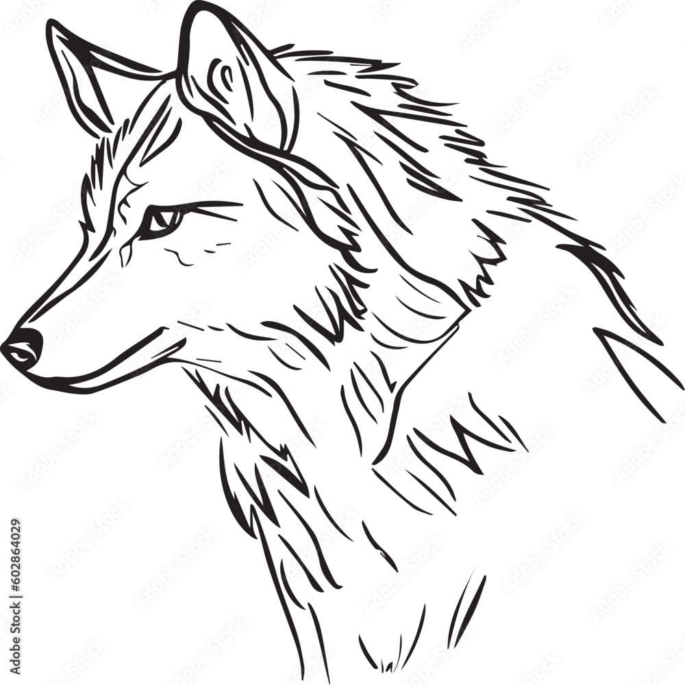 wolf head vector, black, symbol, drawing,  logo black and white