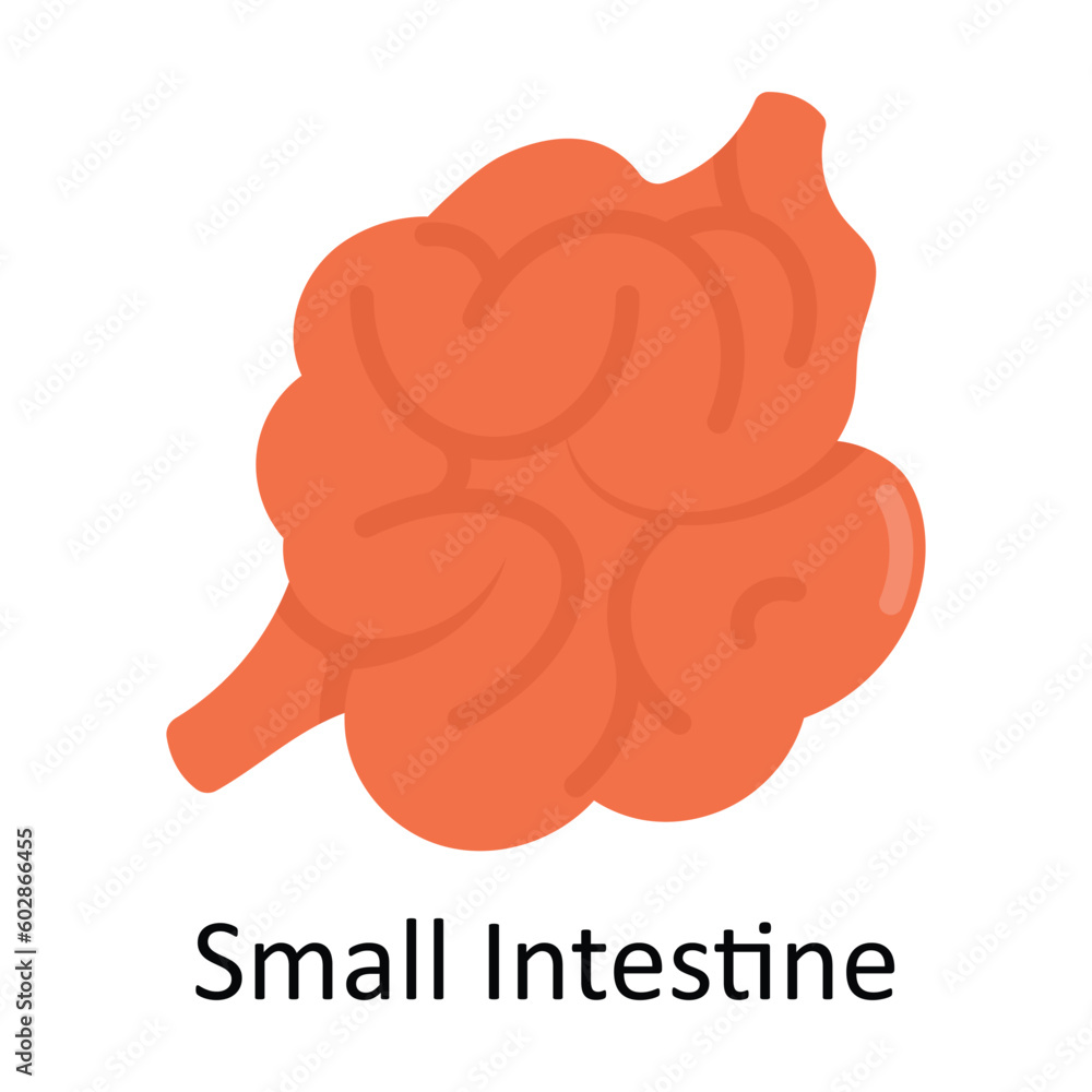 Small Intestine vector Flat Icon Design illustration. Medical and Healthcare Symbol on White background EPS 10 File