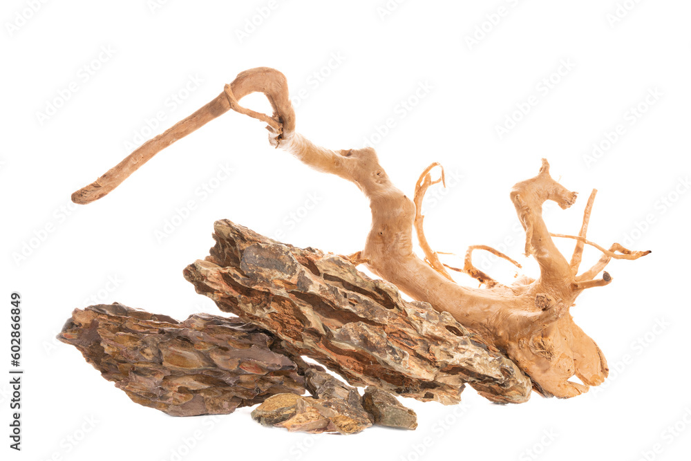 Fototapeta premium Ohko dragon stone with red moor driftwood for freshwater aquarium aquascaping design isolated on the white background.