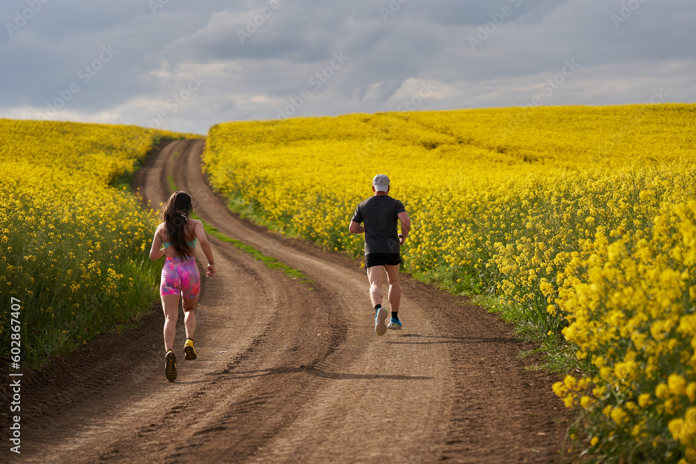 Fototapeta premium Endurance runners on a dirt track in a canola field, training
