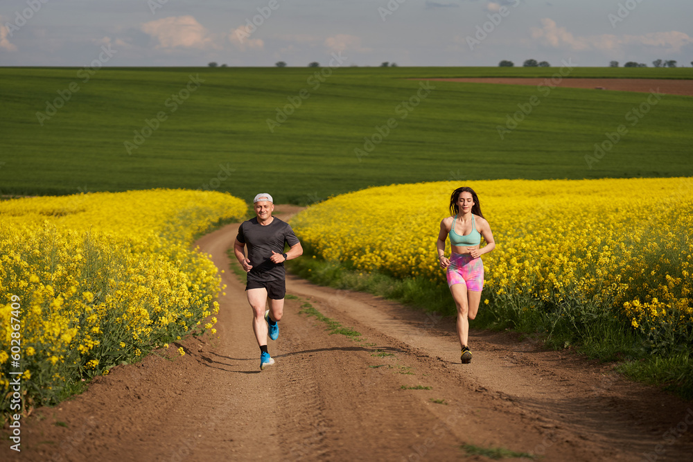 Fototapeta premium Endurance runners on a dirt track in a canola field, training