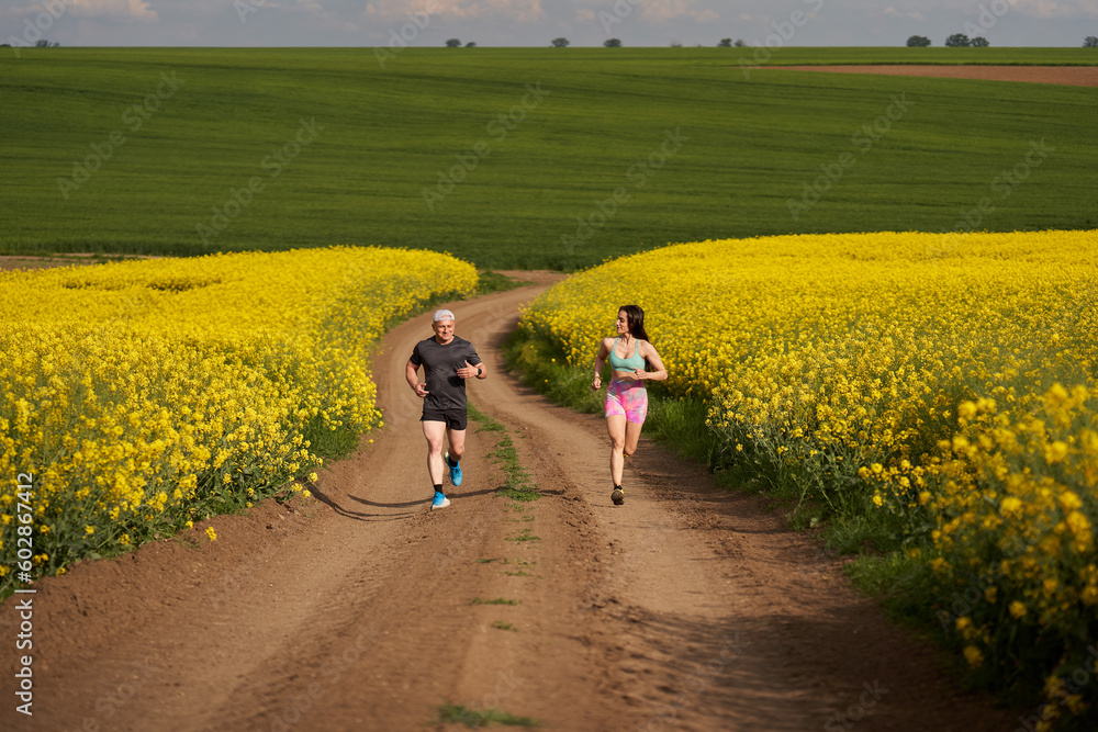 Obraz premium Endurance runners on a dirt track in a canola field, training