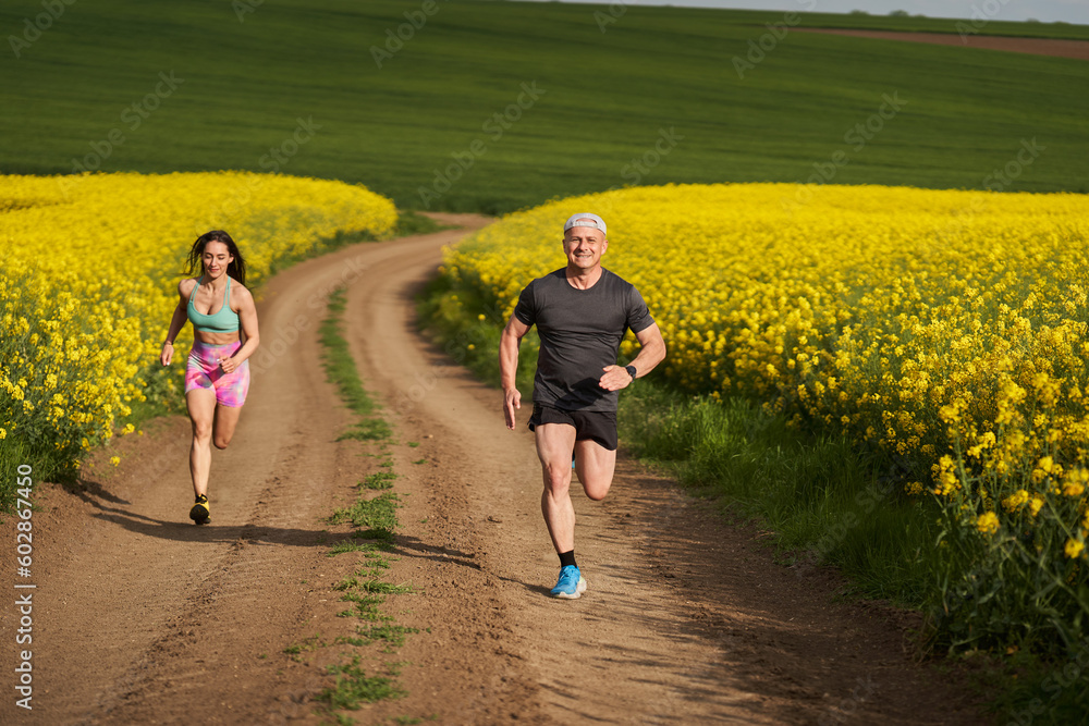 Fototapeta premium Endurance runners on a dirt track in a canola field, training