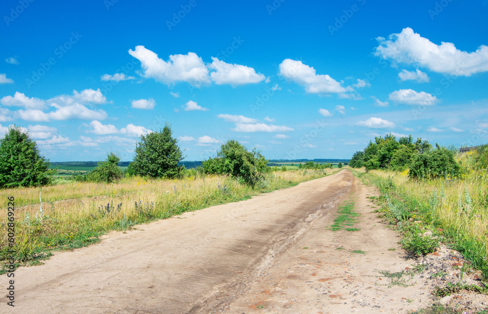 Gravel road going through field.