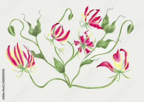 大きく広がったグオリオサの花束