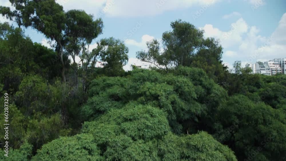 Buenos Aires city buildings and green trees, drone view. Buenos Aires city buildings and green trees, drone view.