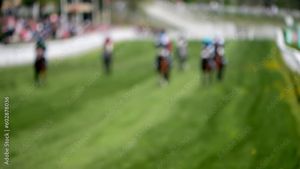 Beautiful horses racing in slow motion, kicking up grass and dirt. Beautiful horses racing in slow motion, kicking up grass and dirt.