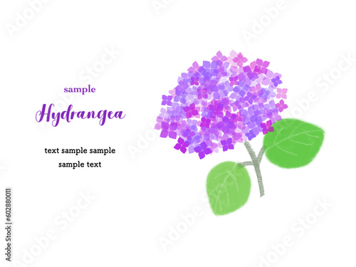 カードデザイン_アジサイ（紫色）
