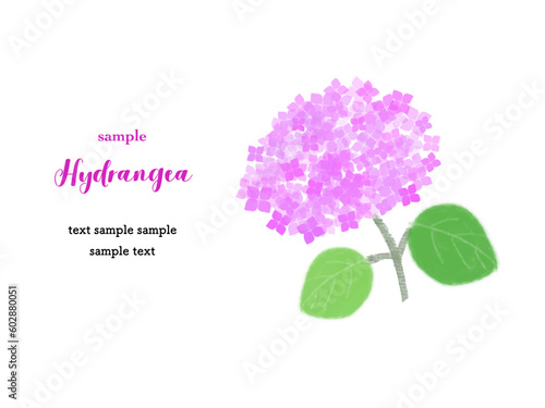 カードデザイン_アジサイ（ピンク）